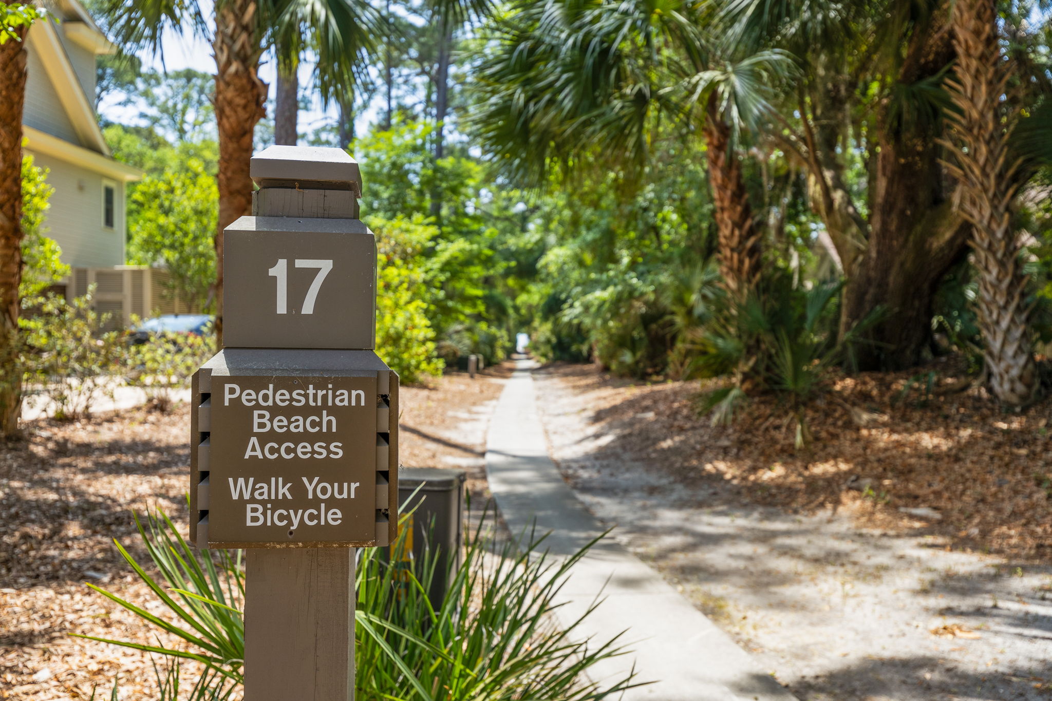 Adjacent Beach Access Path