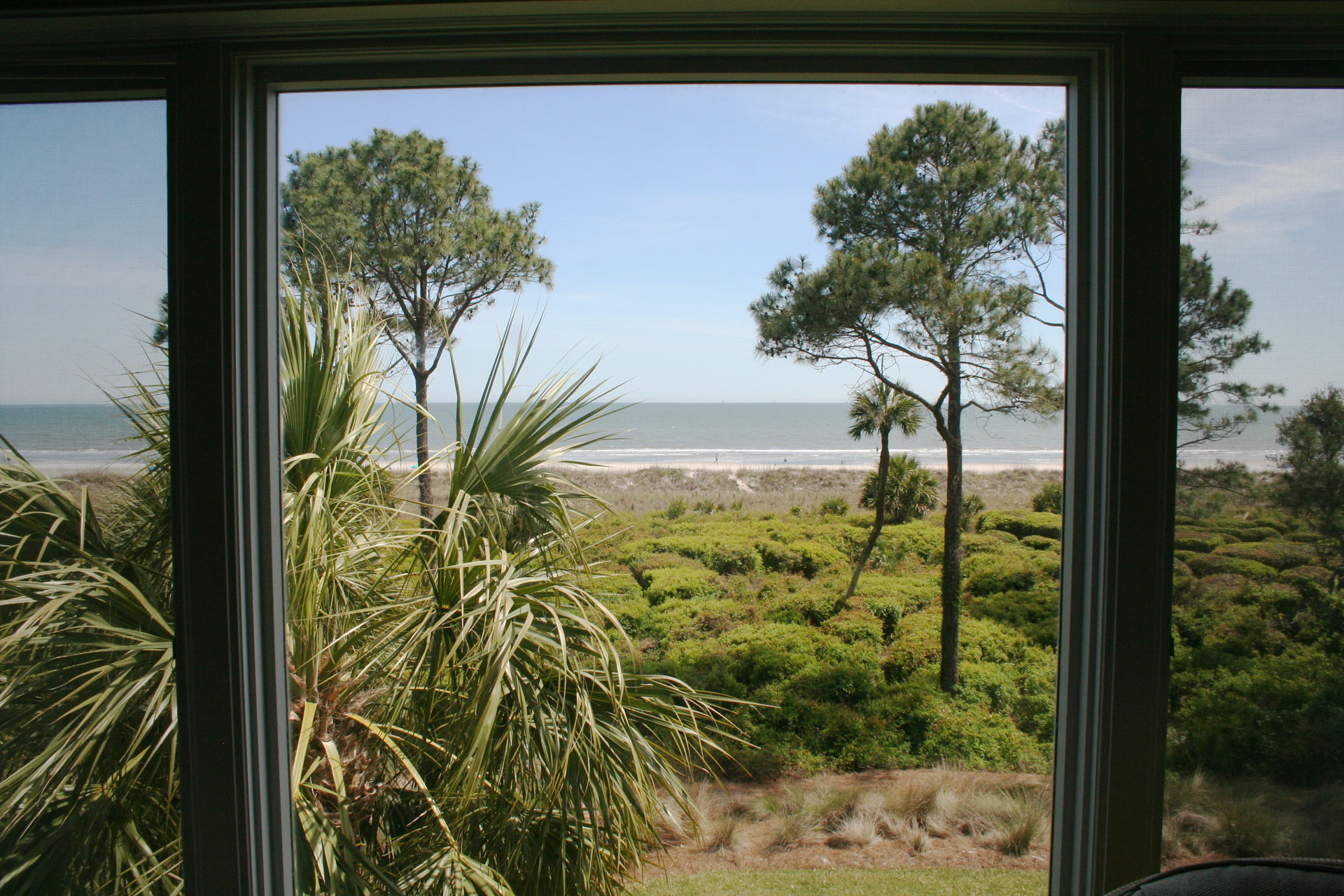 Enjoy the View from your Living Room