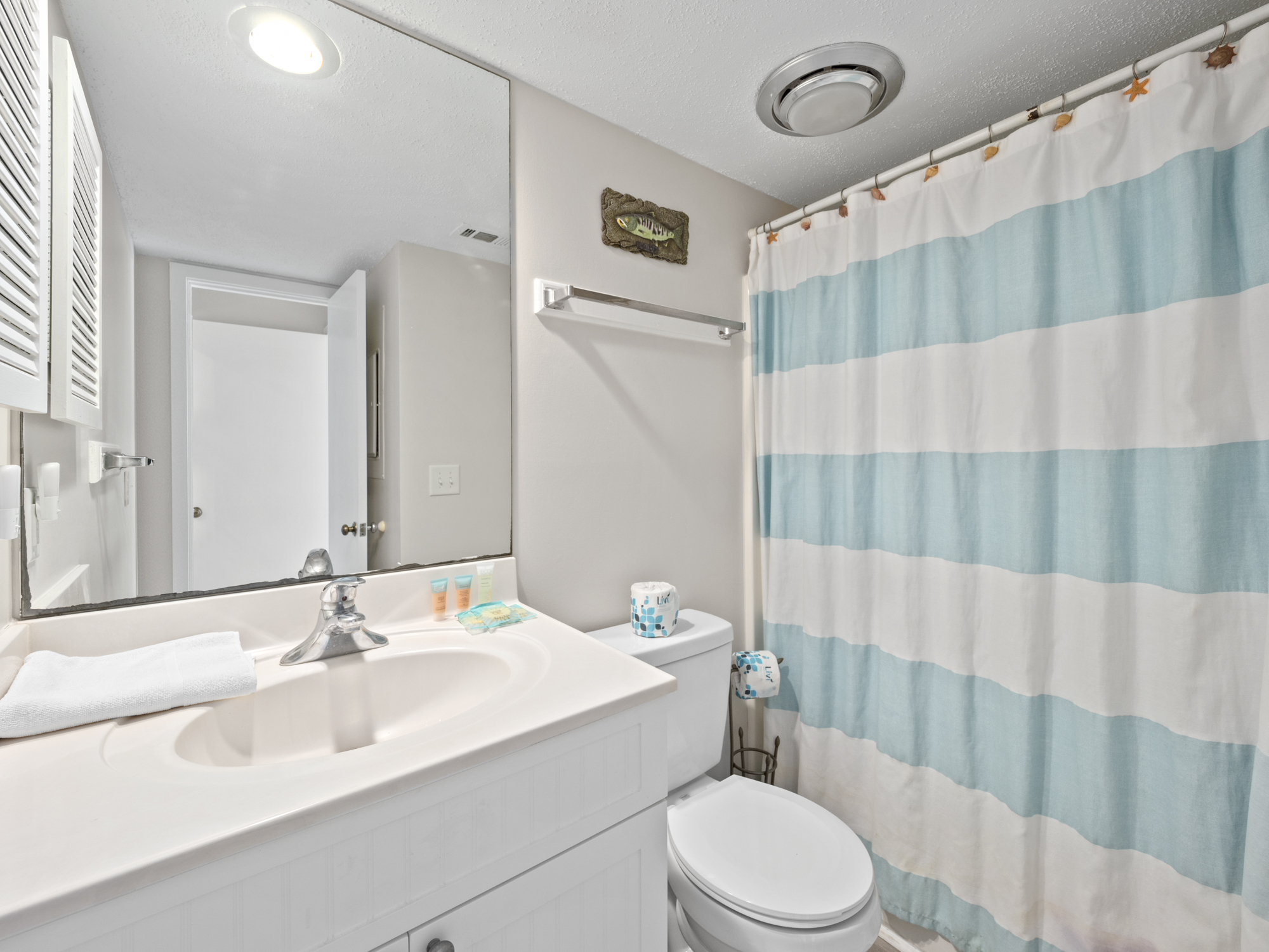 1st floor hall bath with walk-in shower