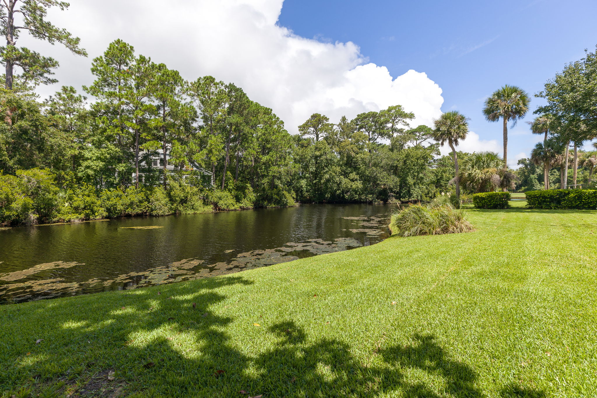 Lagoon View