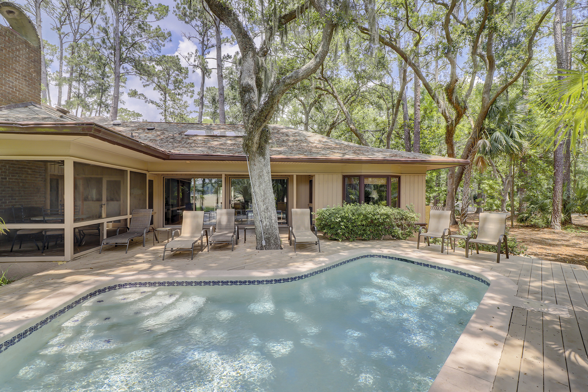 Willow Oak 2