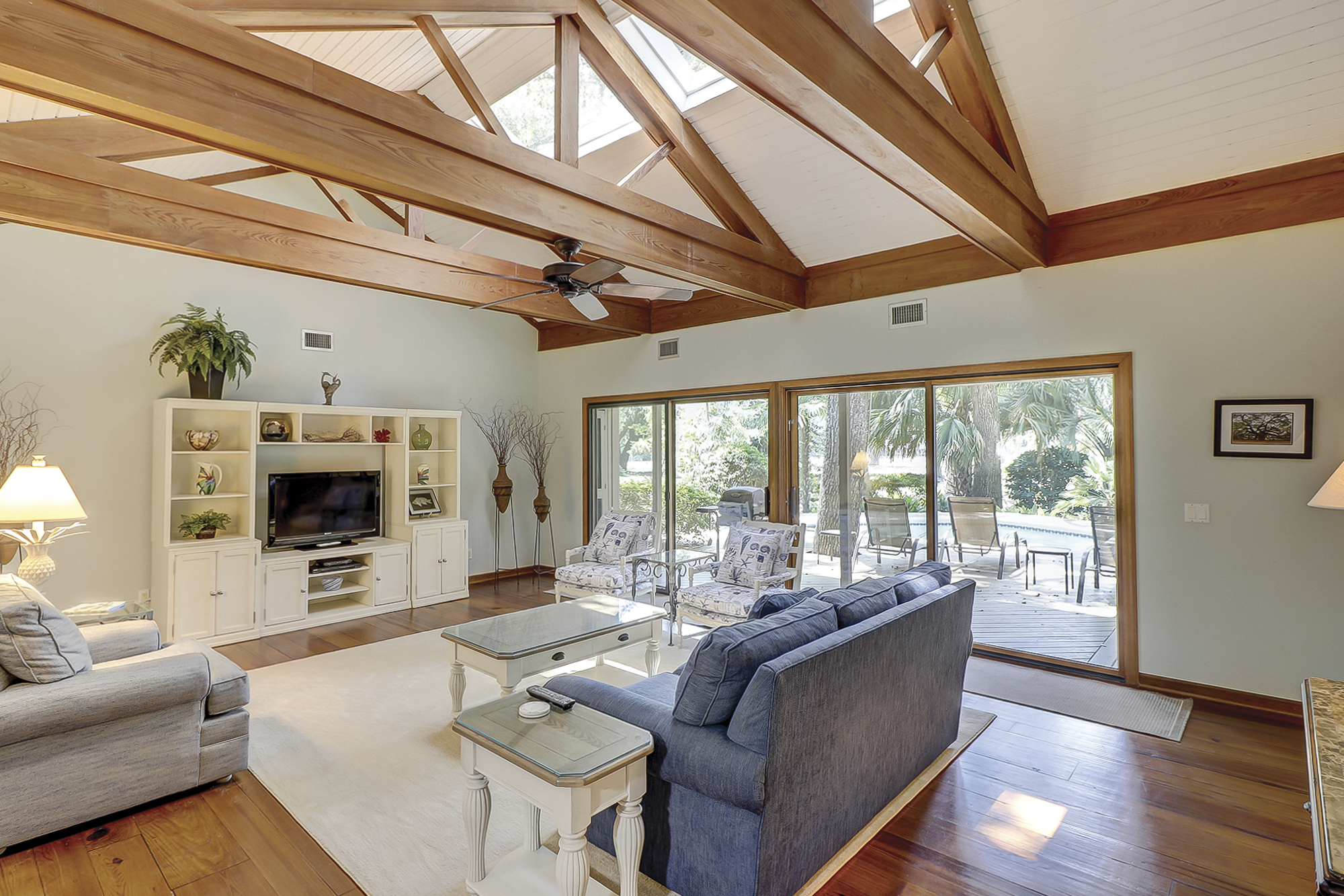 Willow Oak 2