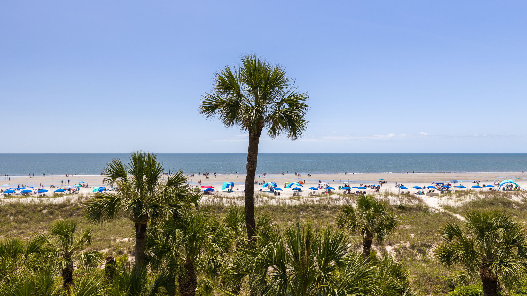 View from Balcony