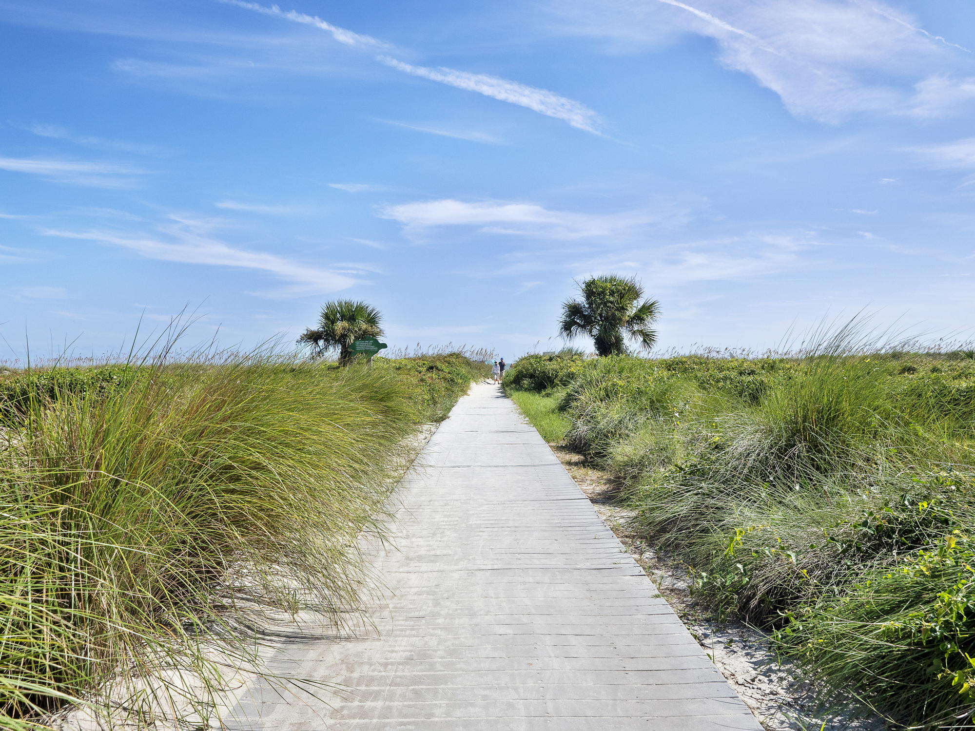 Beach Path to Ocean