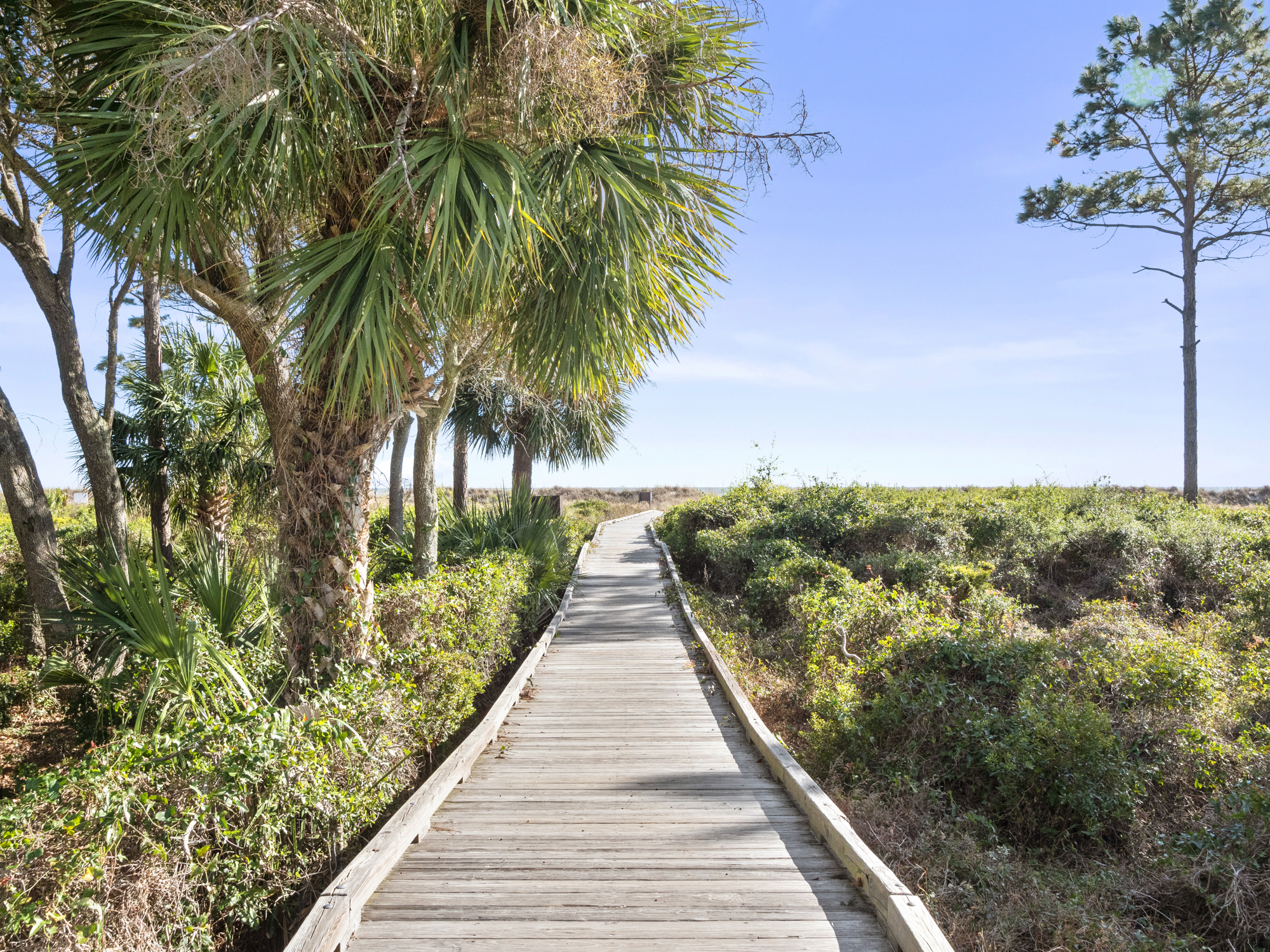 Beach Walk