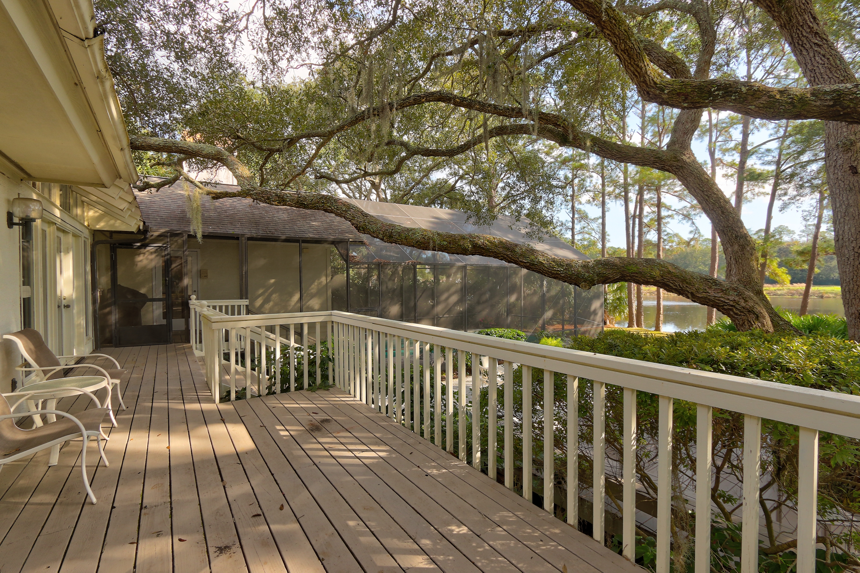 Elevated Back Deck