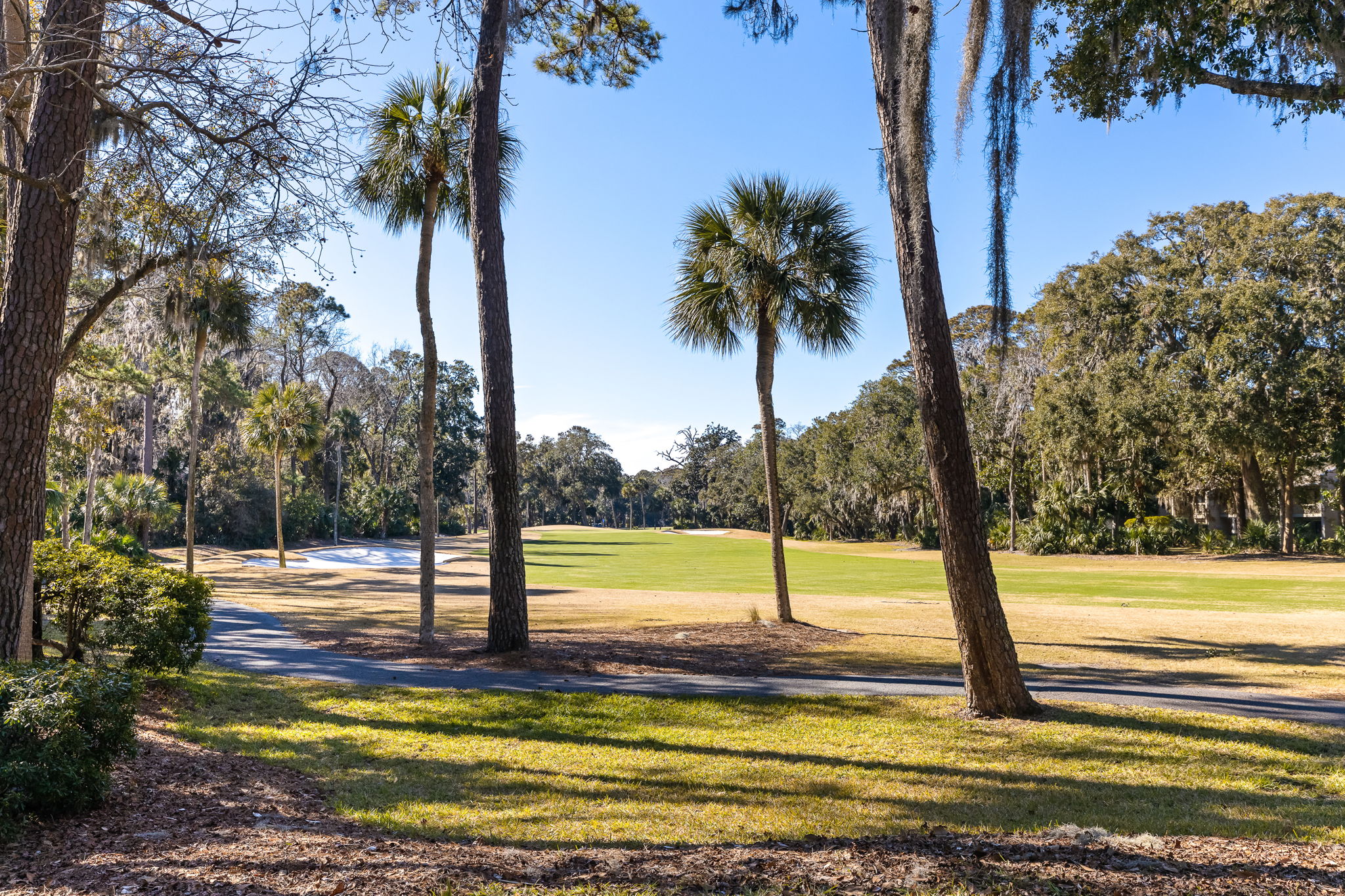 View of Golf Course