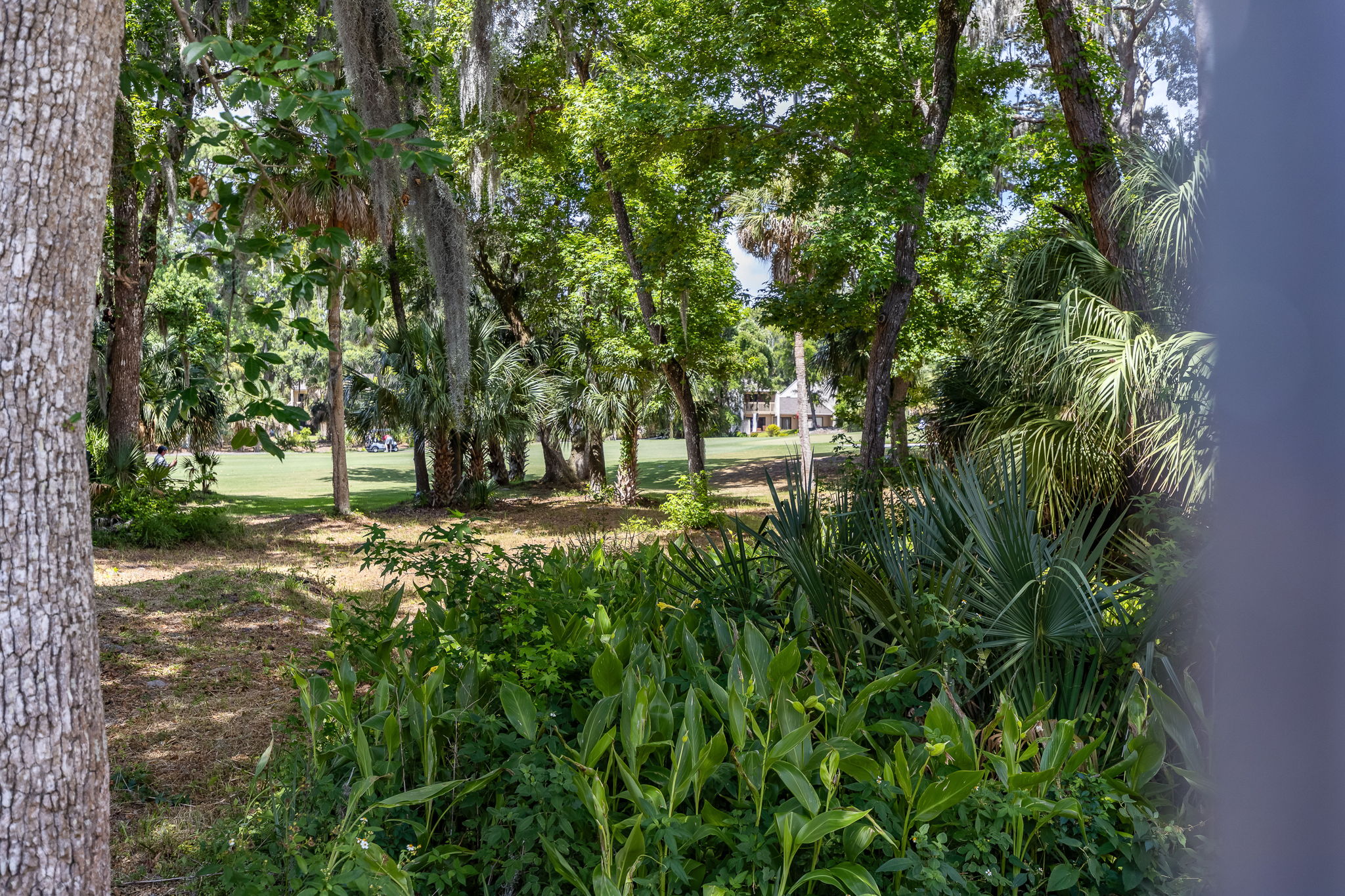 Golf Course/Wooded View