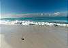 Beautiful Surf