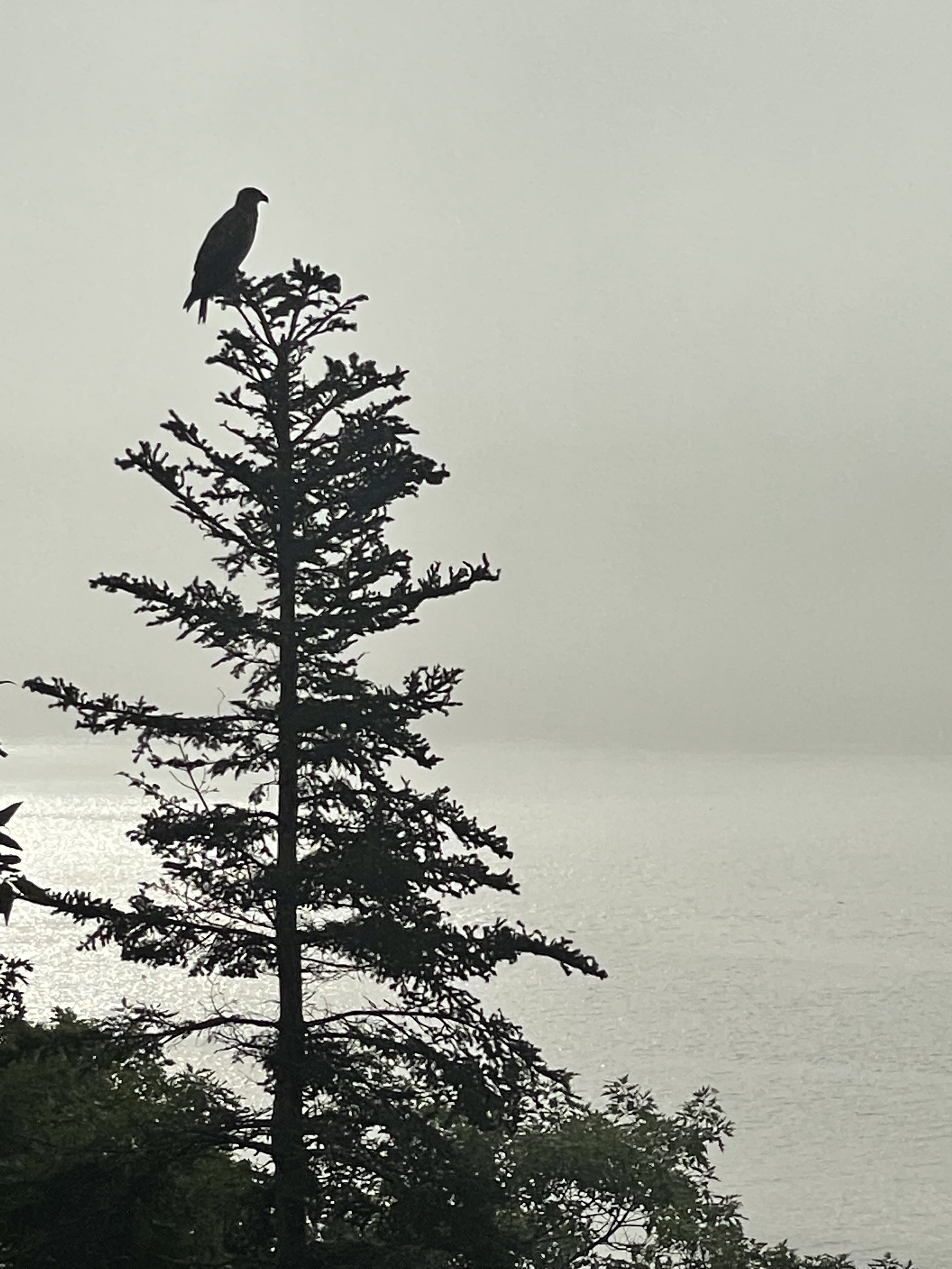 Arden House is a place to slow down, reconnect, and savor the waterfront. | Photo 25