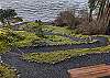 Pathway down to the chairs by the cliffs edge