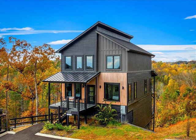 Starry Night at Reedmont