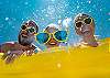 One Free Adult Admission INCLUDED with each Reservation to Dollywood, Anakeesta, and many more