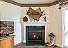 Seasonal Fireplace