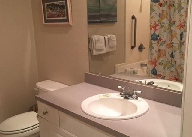 Guest bath