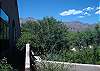 Catalina Mountain View from patio