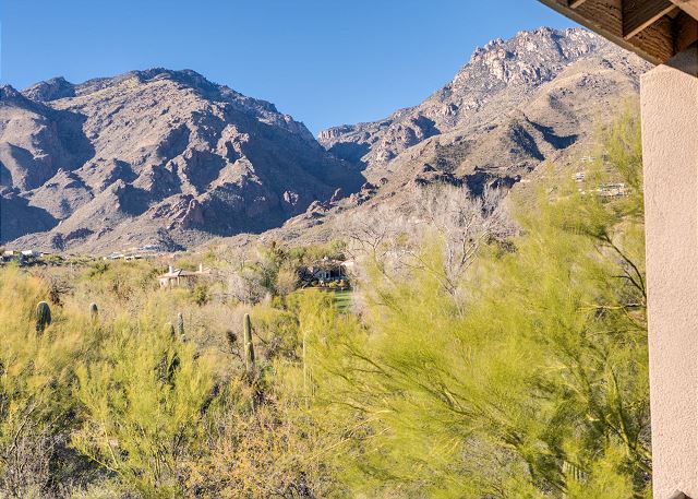 Greens at Ventana Canyon  #14276E
