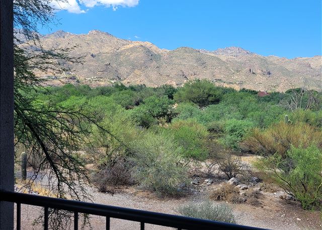 Greens at Ventana Canyon #13271