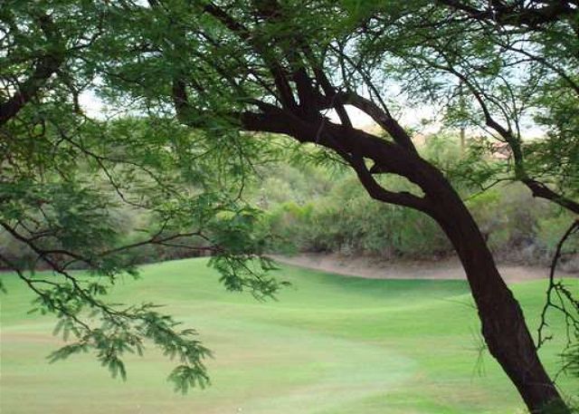 Greens at Ventana Canyon #8209W