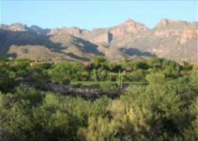 Greens at Ventana Canyon #12263E