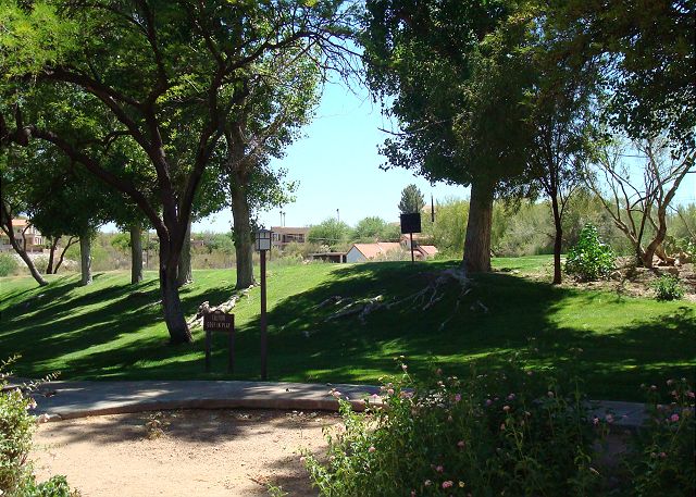 Greens at Ventana Canyon #6106W