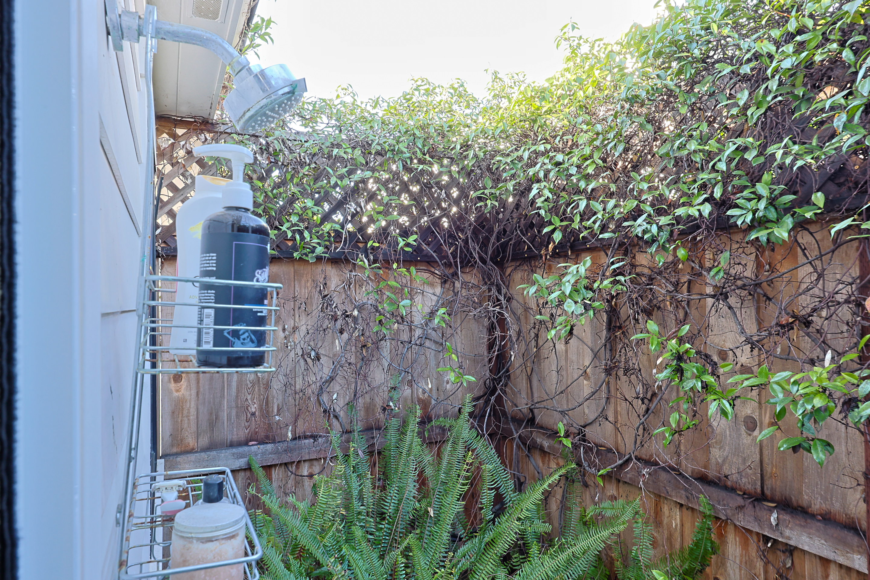 561CountryClub | Photo 19