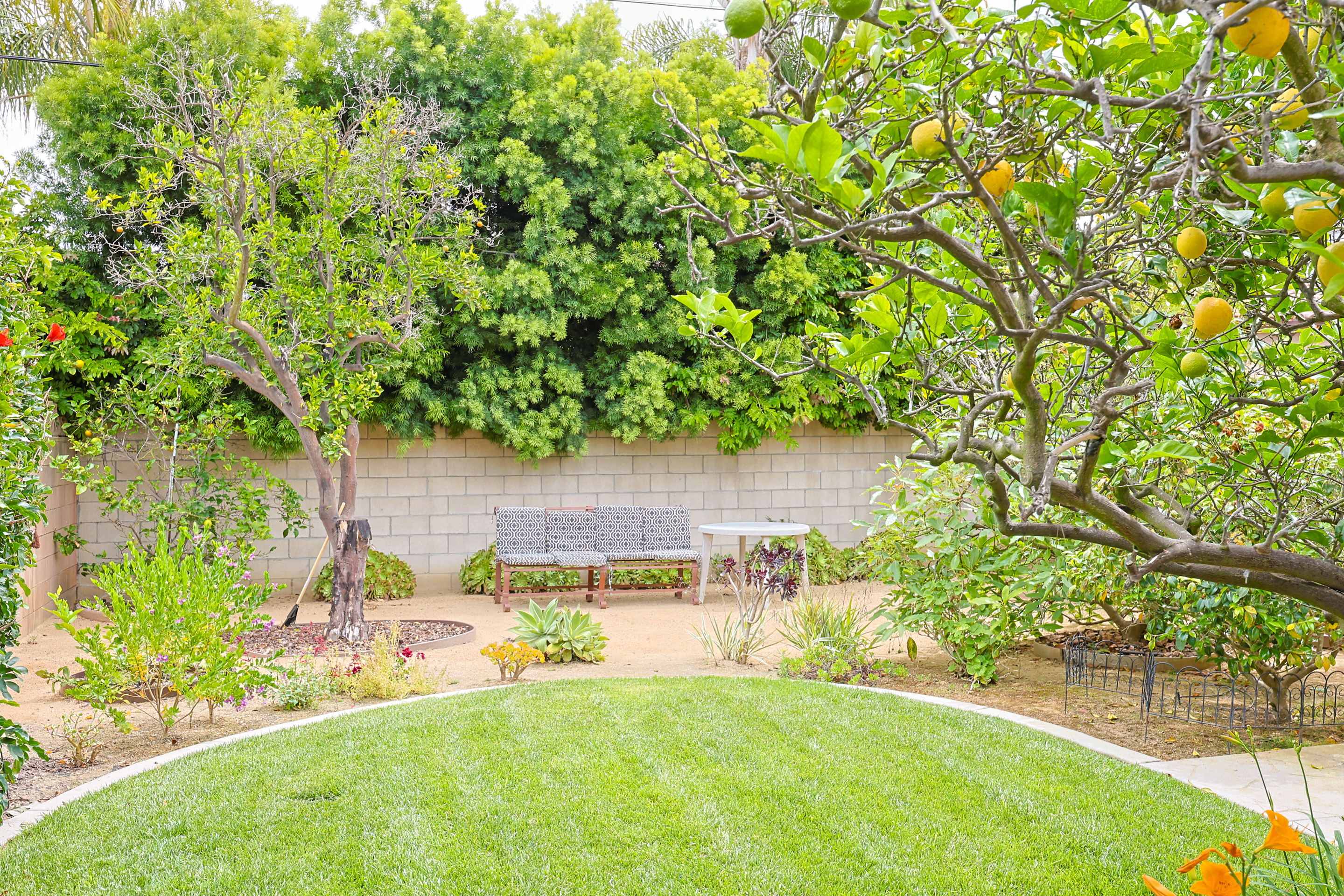 639Margarita | Photo 43