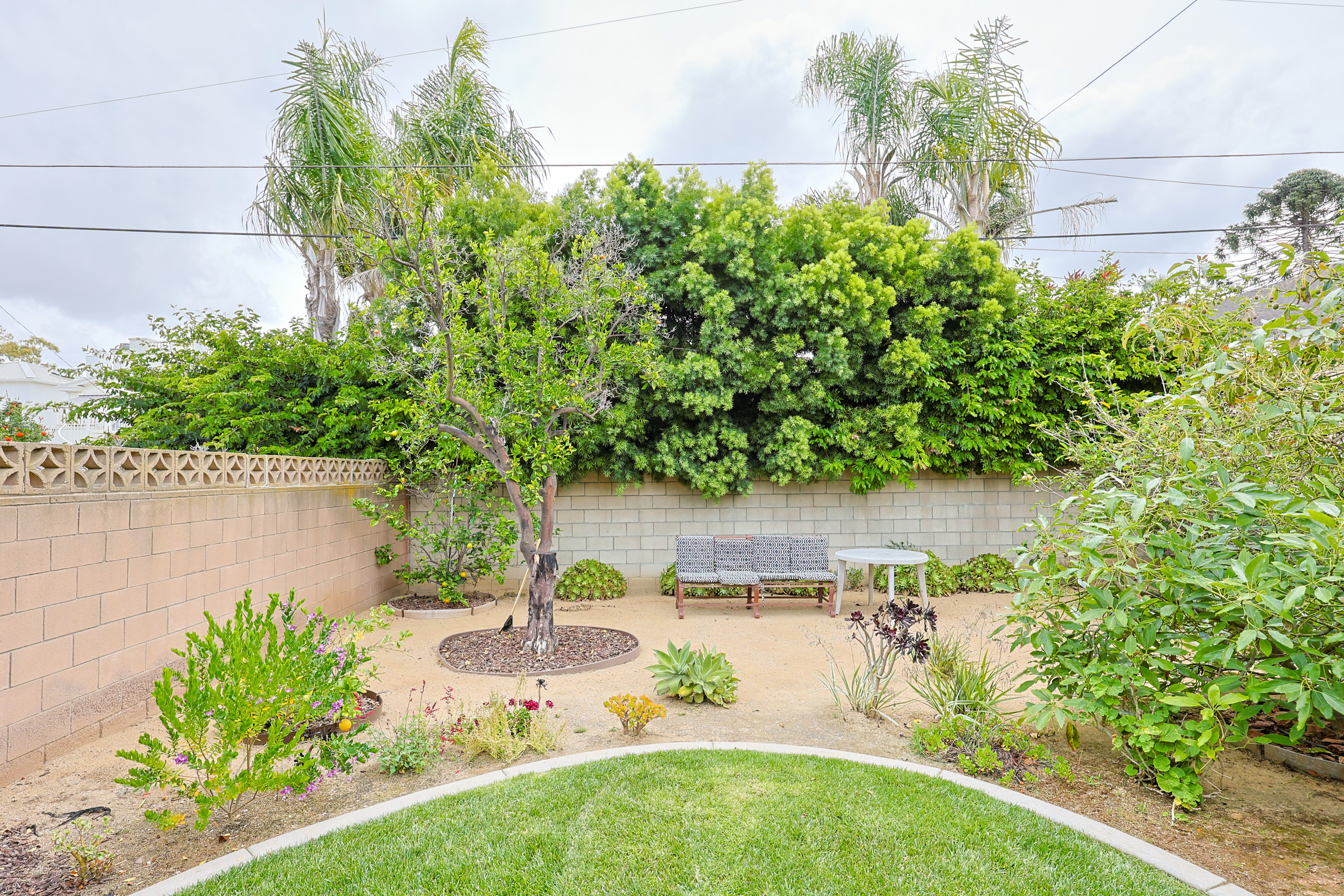 639Margarita | Photo 33