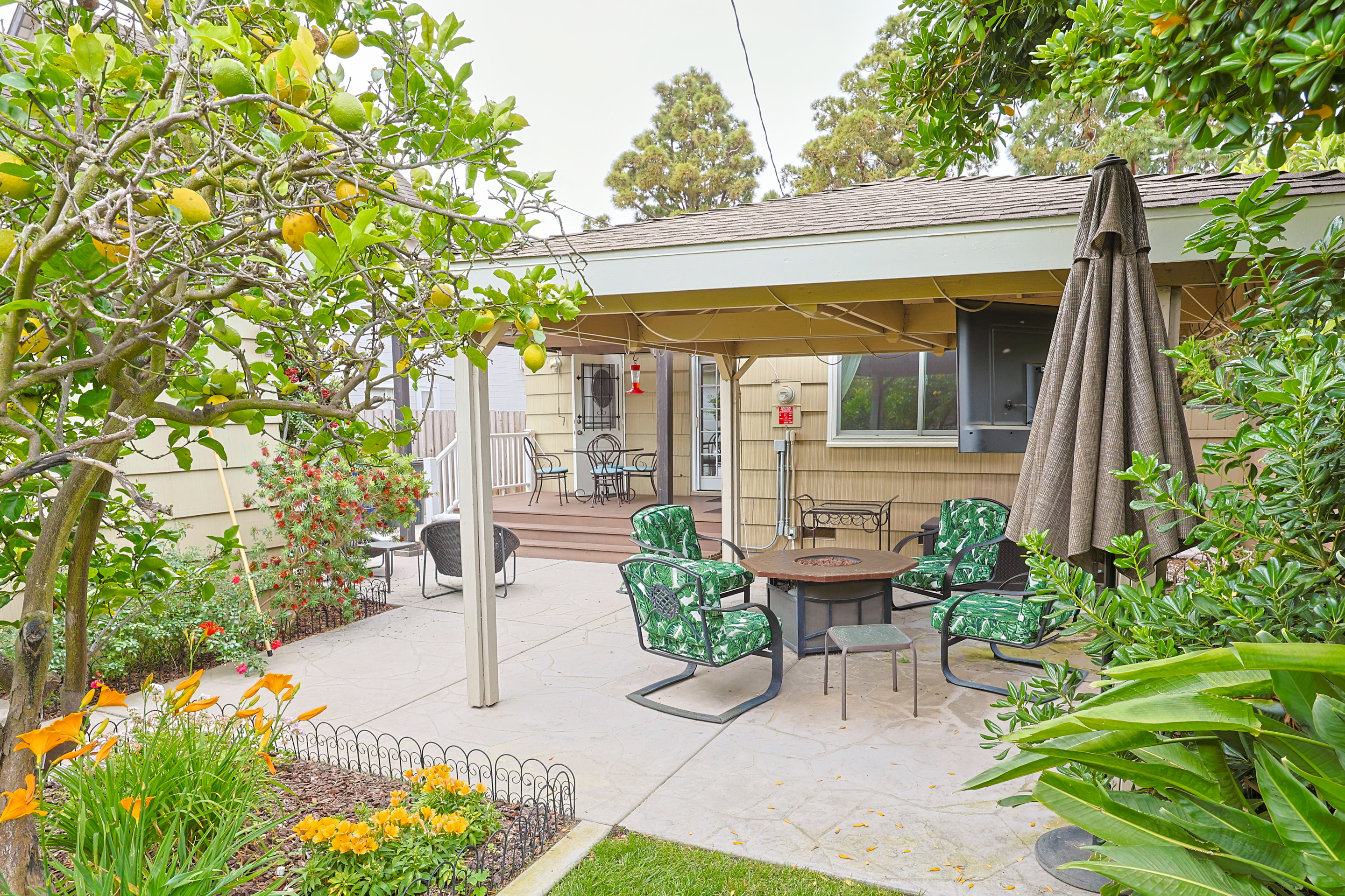 639Margarita | Photo 38