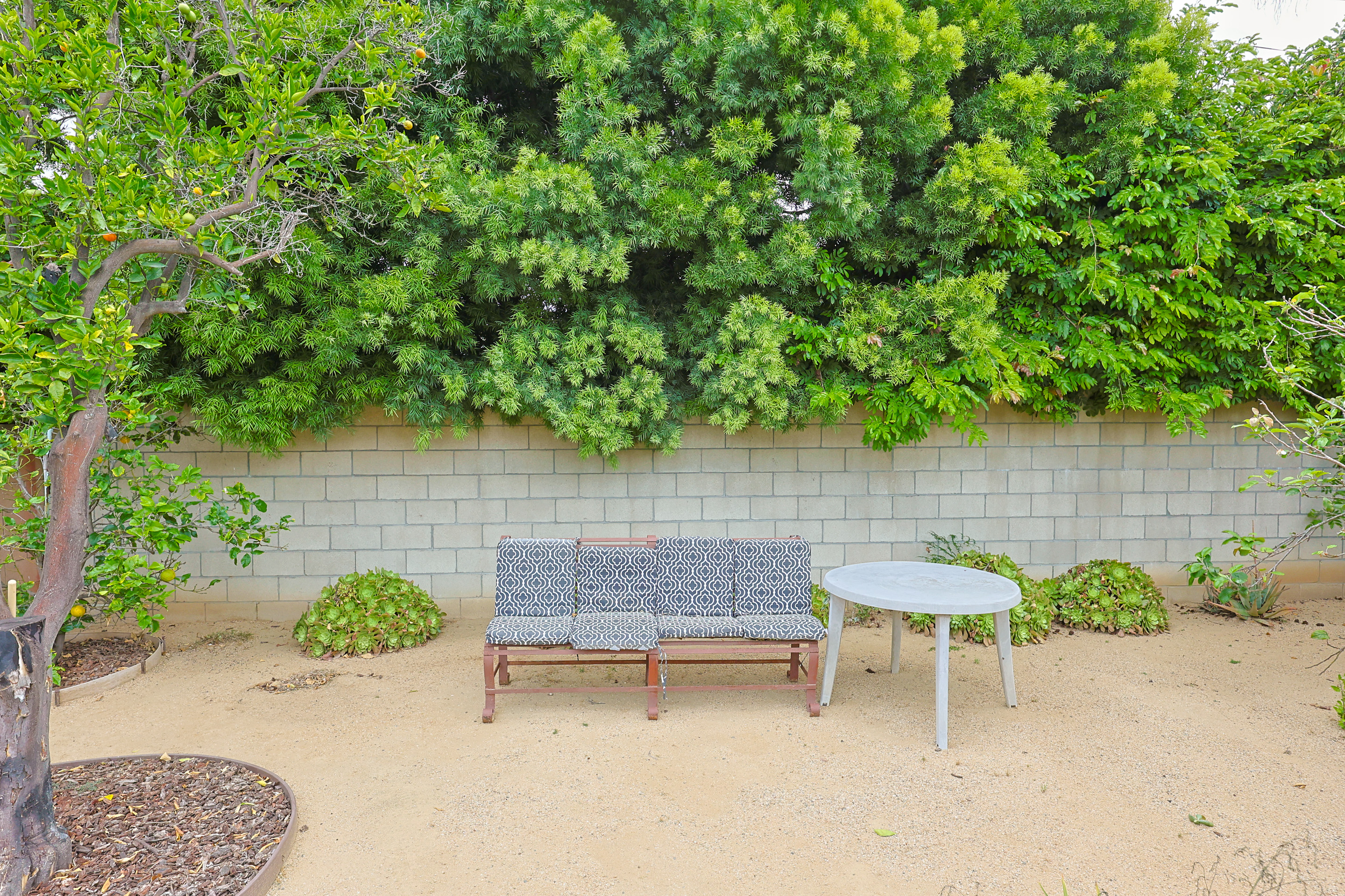 639Margarita | Photo 35