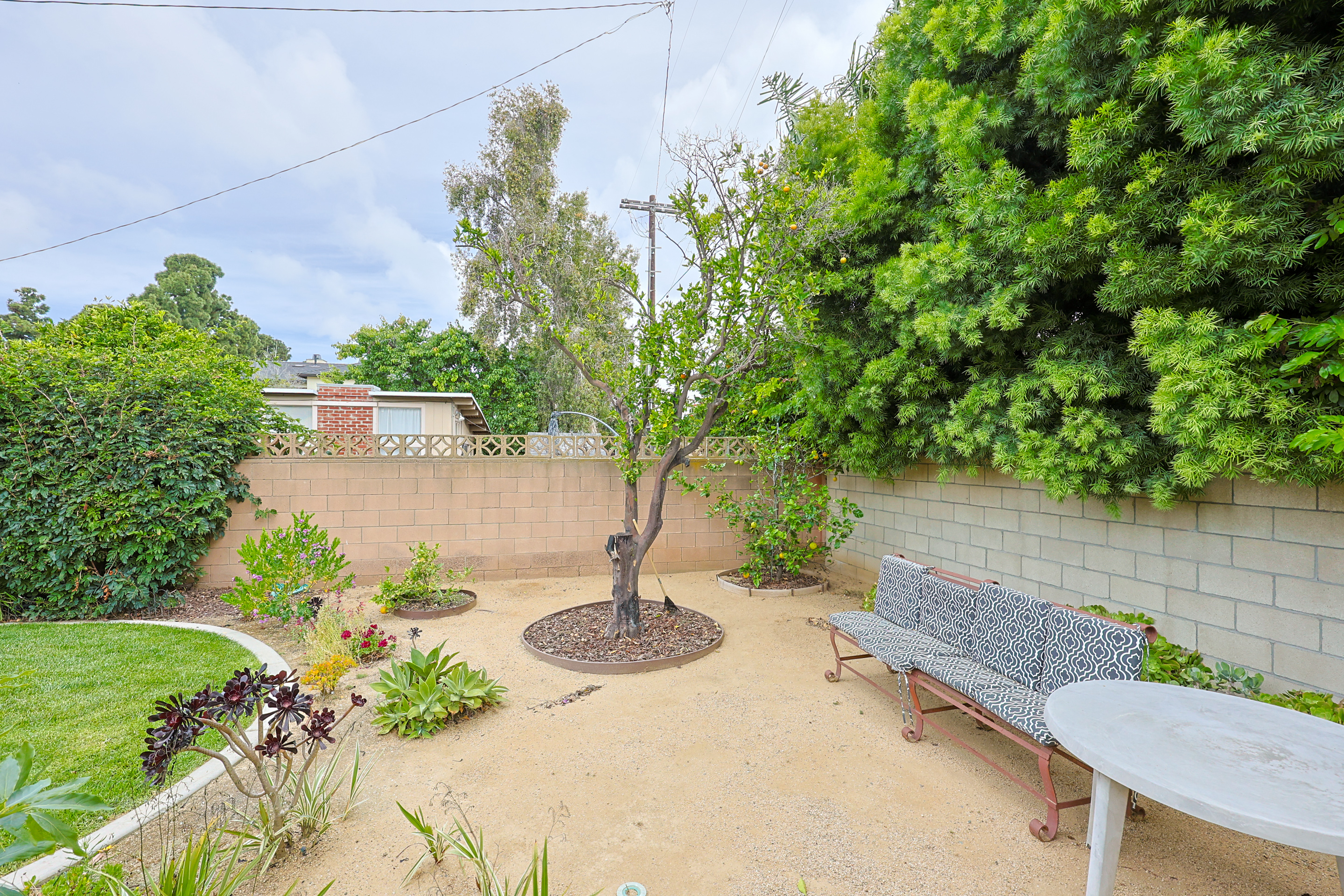 639Margarita | Photo 42