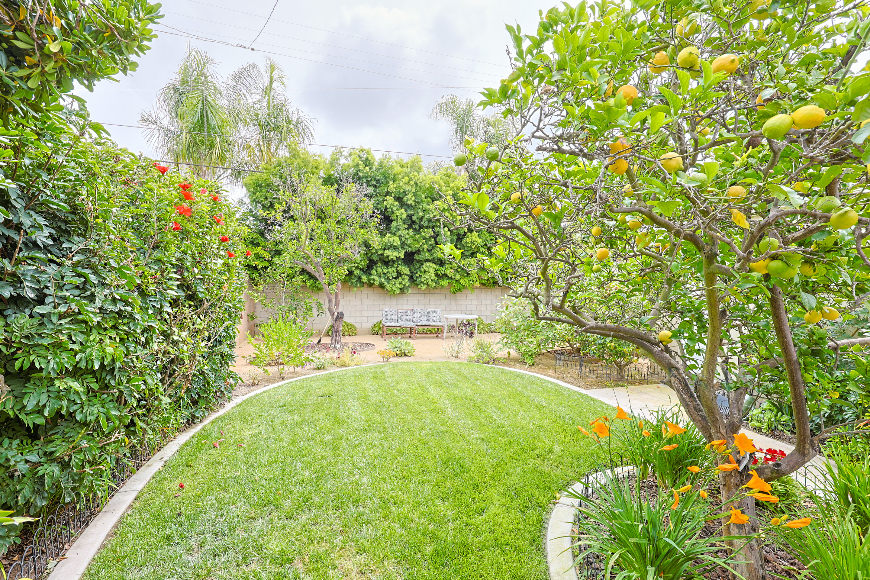 639Margarita | Photo 37