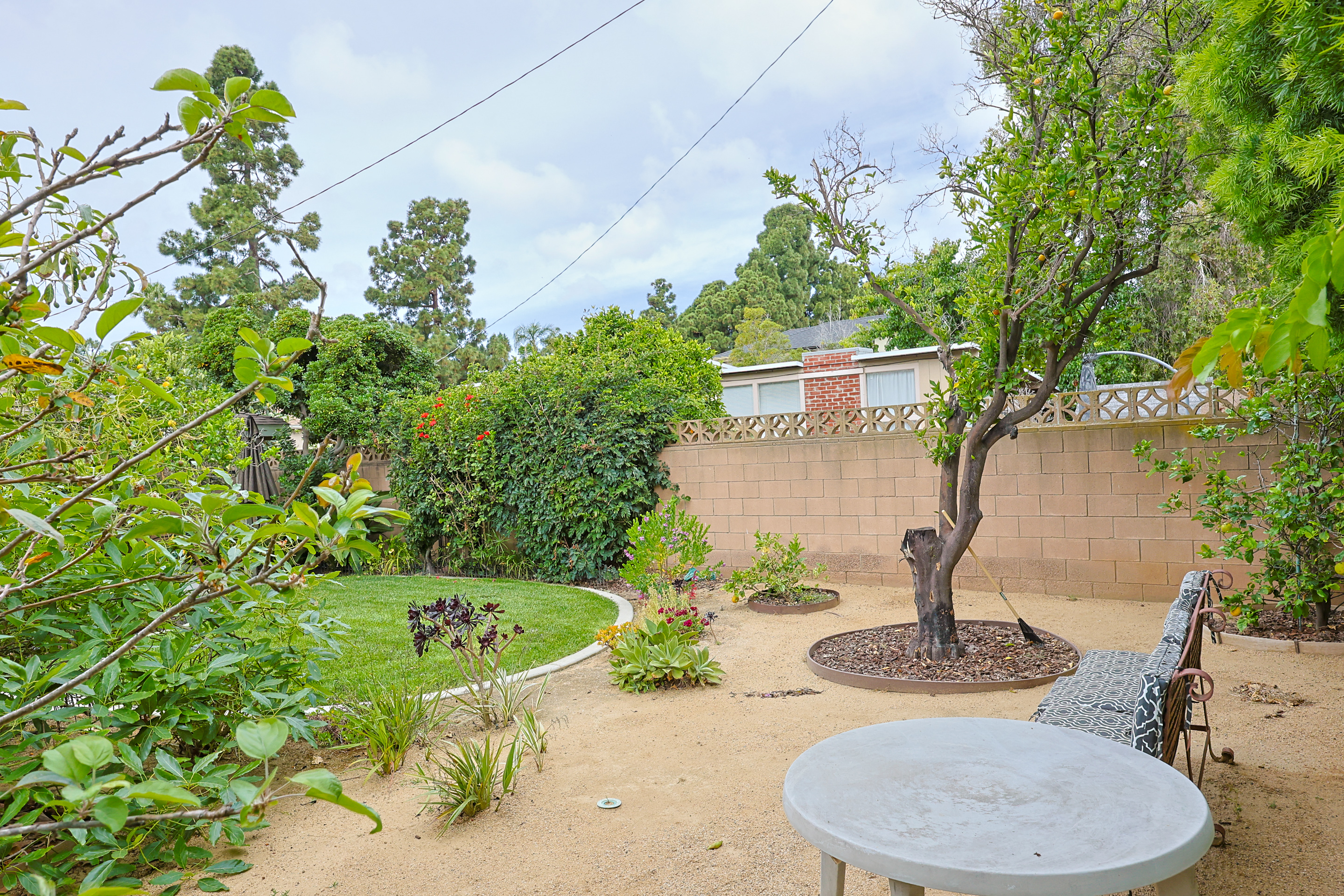 639Margarita | Photo 34