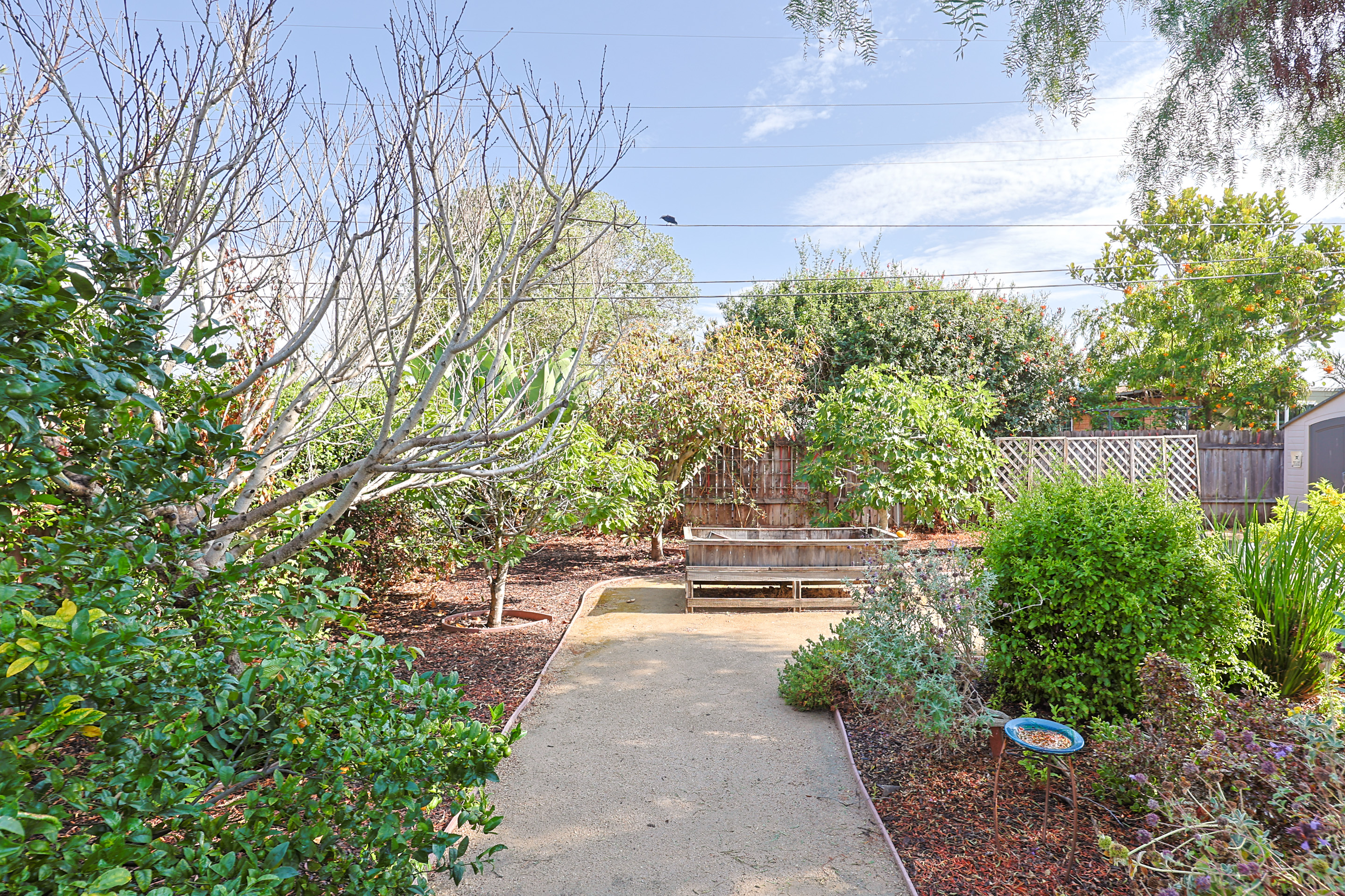 458Citrus | Photo 20