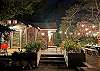 Outdoor lights for entertaining. 