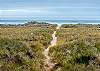 Beach access trail