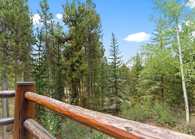 63 Forget Me Not Lane 4