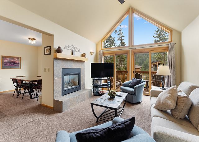 Snake River Village #29 6