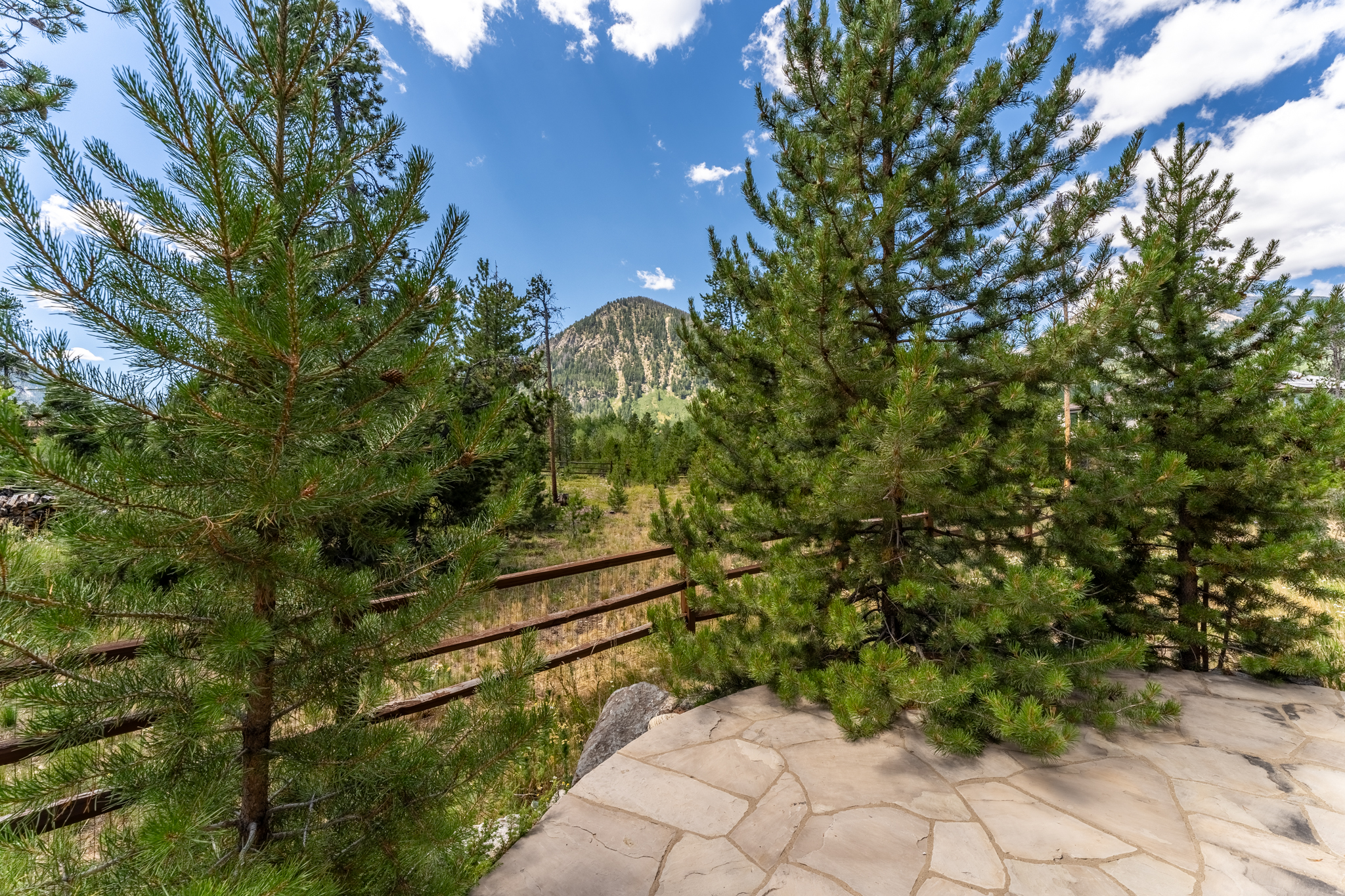 View from side patio. 