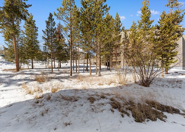 Treehouse #107, Building G 3