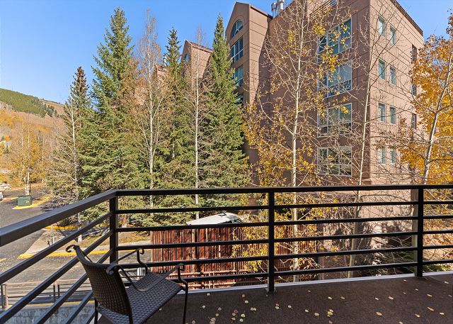 Snowdance Manor #406 3