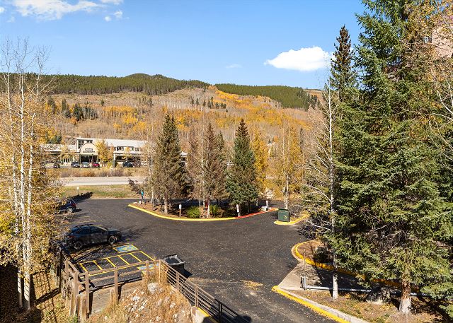 Snowdance Manor #406 4