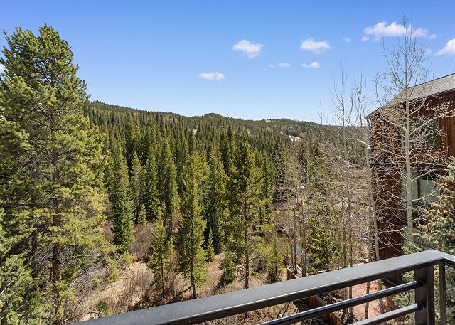 Ina's Way Townhomes, Unit A 8