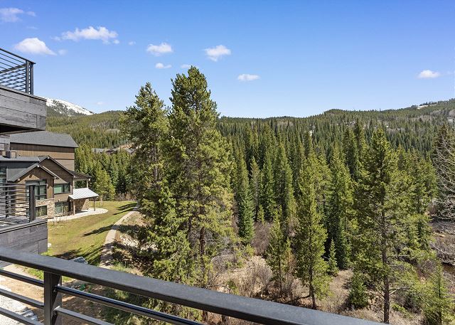 Ina's Way Townhomes, Unit D 8