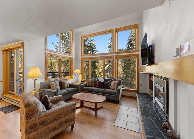 Living area with vaulted ceilings, large windows for natural sunlight, mounted TV over a gas fireplace, and queen sleeper sofa. 