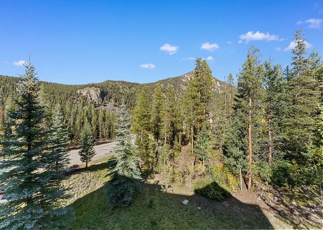 Mountain views from the private balcony. 