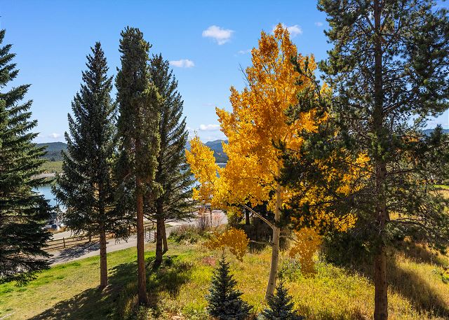 Lake Cliffe #305 Building A 3