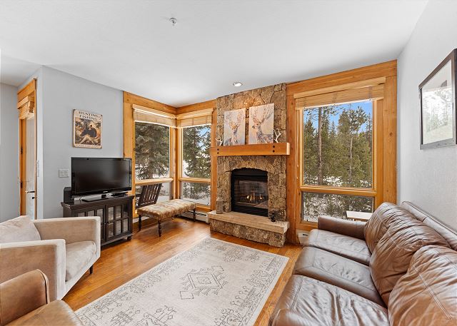 The living area offers a TV, stone surround fireplace, and queen sleeper sofa. 