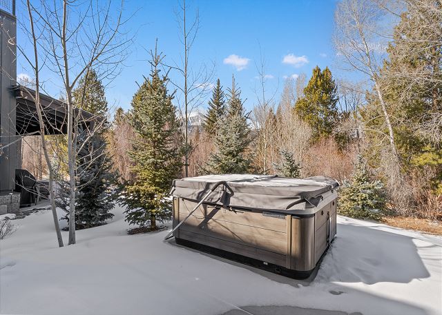 Waters at Silver Trout #600 3