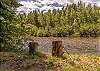 Bring Your Fishing License and Equipment